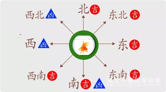 應(yīng)避免養(yǎng)魚(yú)的方向